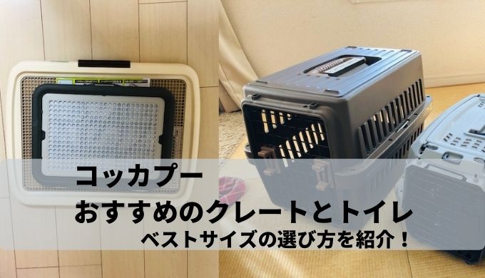 コッカプーにおすすめのクレートとトイレ サイズの選び方 ヤクナビ