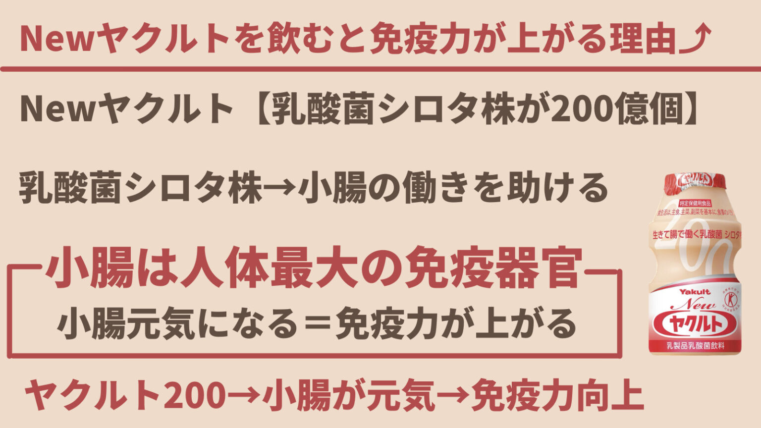 ノンストップ 世界の料理